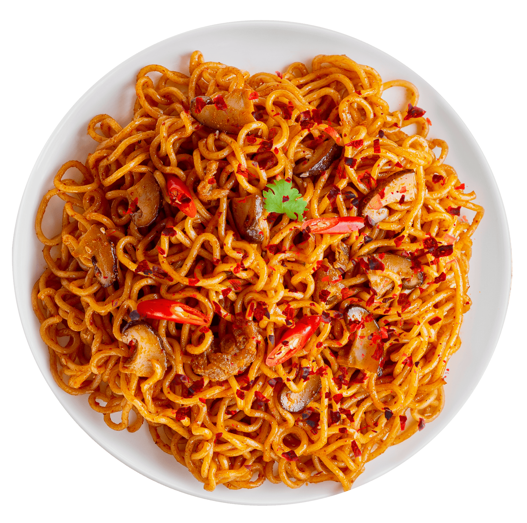 Hot Schezwan Noodle Bowl